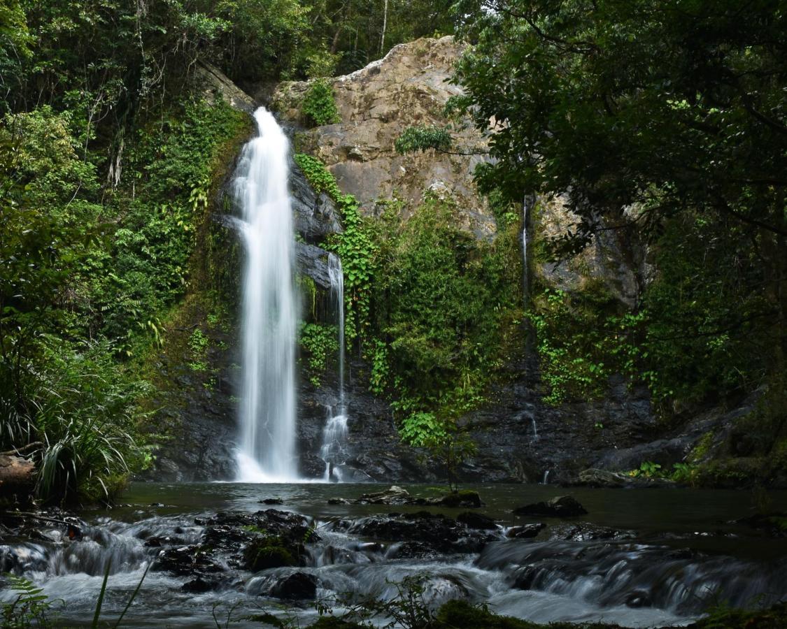 Cassowary Falls Gateway Дейнтрі Екстер'єр фото